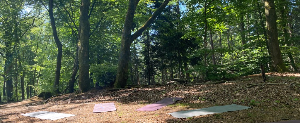 Buiten yoga Hemelseberg